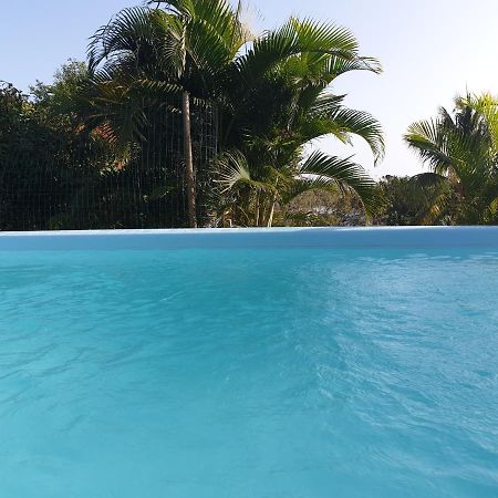 לה ווקלה Le Goyav' Appart Avec Piscine Et Jacuzzi Au Vauclin מראה חיצוני תמונה